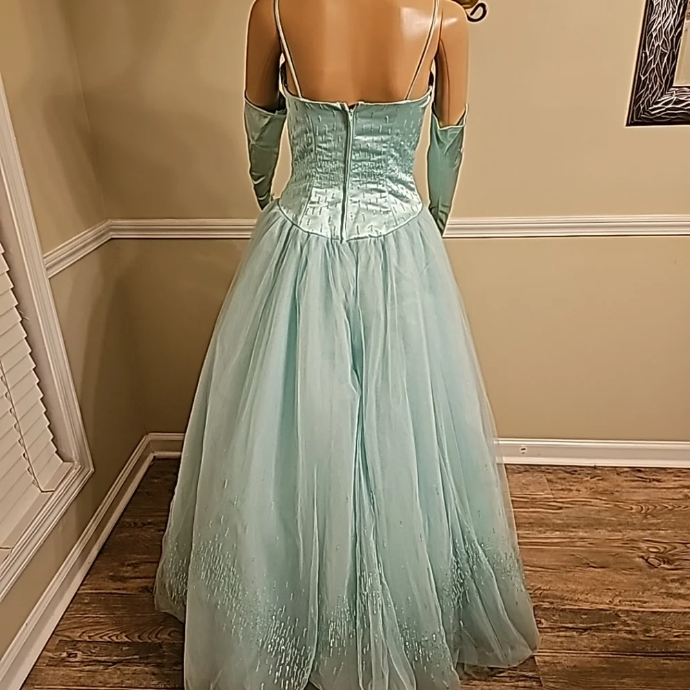 Prom Dress - Picture 7 of 8